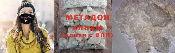 прущие грибы Беломорск