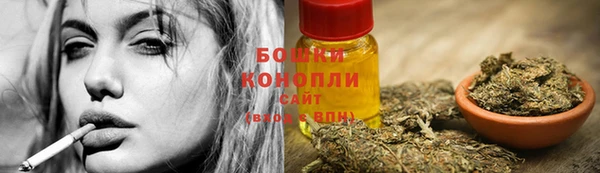 гидропоника Богданович
