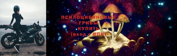 прущие грибы Беломорск