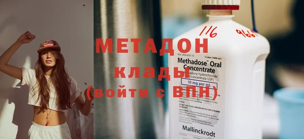прущие грибы Беломорск