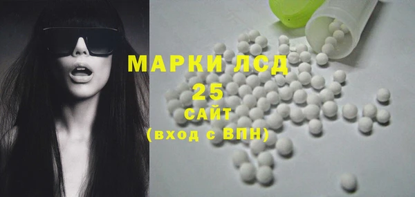 прущие грибы Беломорск
