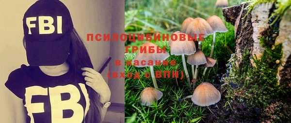 прущий лед Белокуриха