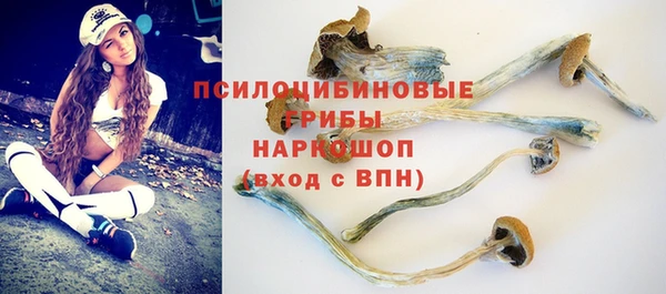 прущие грибы Беломорск